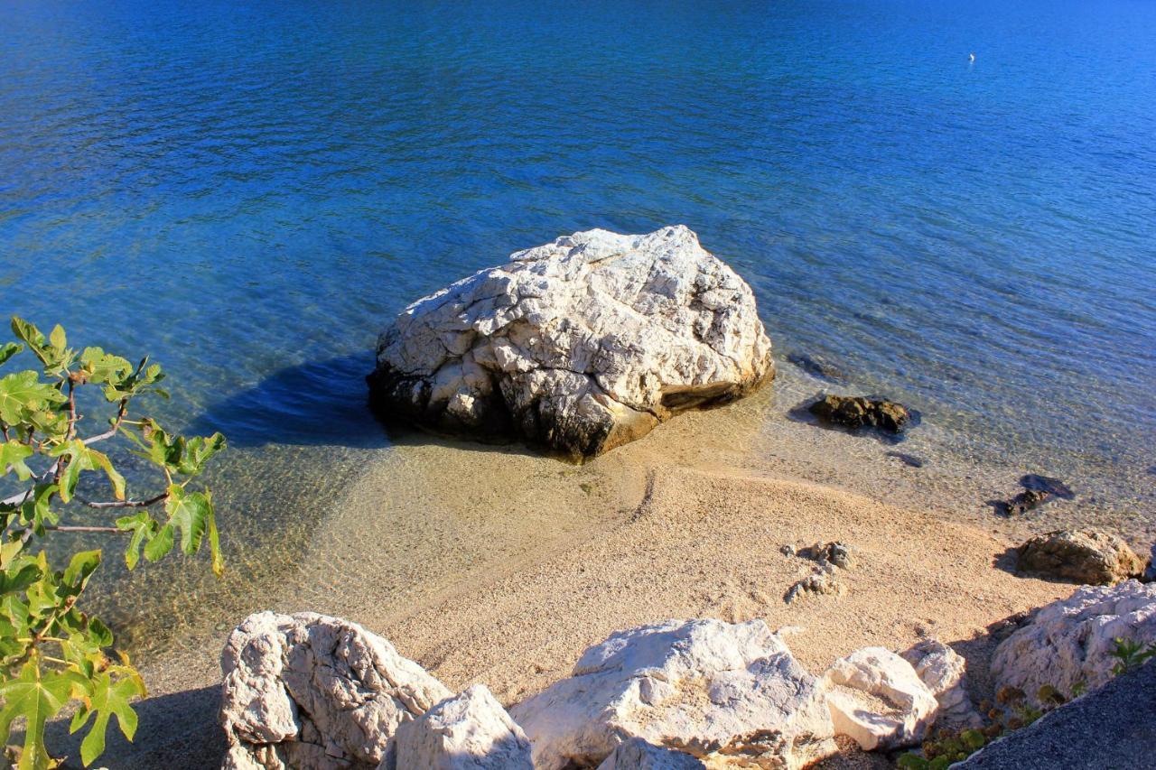 Apartments And Rooms By The Sea Slano, Dubrovnik - 8737 Ngoại thất bức ảnh